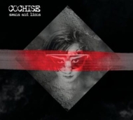 Cochise/Swans  Lions