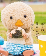 �ڂ��́A�����g�K���ł��B