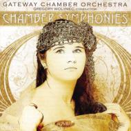　オムニバス（管弦楽）/Chamber Symphony-enescu Schreker Schoenberg： Wolynec / Gateway Co (Hyb)