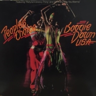Boogie Down U.s.a.