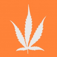 Dee Dee Ramone Story