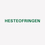 Henning Christiansen/Hesteofringen (10inch)
