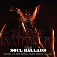 Various/Slow Burners Timeless Soul Ballads (180g)