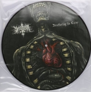 Weathering The Curse