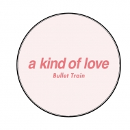 ���S�ʃo�b�W �i�`������