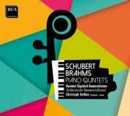 Piano Quintet: Soldan(P)Silesian Chamber Soloists +brahms: Piano Quinetet