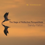 Saga Of Reflective Perspectives