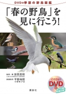 �G�߂̖쒹�}�� 1 �u�t�̖쒹�v�����ɍs����!