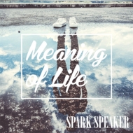 SPARK SPEAKER/Meaning Of Life