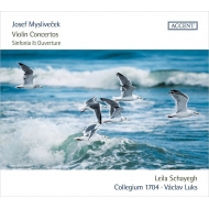 Violin Concertos, etc : Schayegh(Vn)V.Luks / Collegium 1704