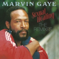 Sexual Healing: The Remixes (12inch Vinyl For Rsd)