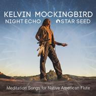 Night Echo -Star Seed -Mediation Songs For