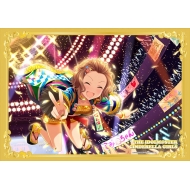 �A�C�h���}�X�^�[ �V���f�����K�[���Y �z�|�X�^�[ ��g�Δ�