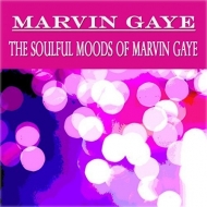 Soulful Moods Of Marvin Gaye (アナログレコード/DOL)