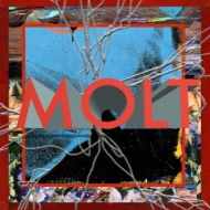 Hiyadam Presents Molt