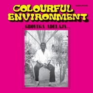 Gboyega Adelaja/Colourful Environment
