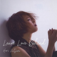 堀桂/Leave Love Behind