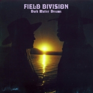 Field Division/Dark Matter Dreams