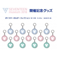 Seventeen�{�C�X�L�[�z���_�[�R���N�V����