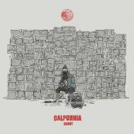 Calpurnia/Scout (Ltd)