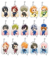 �A�C�h���}�X�^�[ Sidem �Ȃ���A�N�����L�[�z���_�[ Vol.1