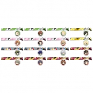 �A�C�h���}�X�^�[ Sidem �ՂɃL���� �`���[���t���c�C�X�g�o���h Vol.2