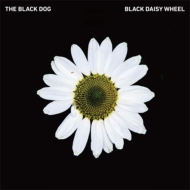 Black Dog/Black Daisy Wheel