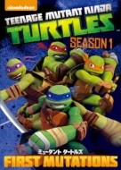 Teenage Mutant Ninja Turtles Season1 Complete Box