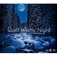 Quiet Winter Night