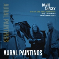 David Chesky/Trio In The New Harmonic Aural Paintings (Digi)