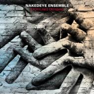 Storylines Crossing: Nakedeye Ensemble