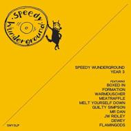 Speedy Wunderground -Year 3