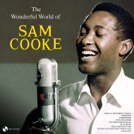 サム・クック　SAM COOKE LP SAM COOKE (サム・クック) - Twistin' The Night Away (EU 限定