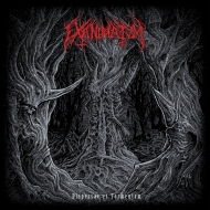 Dispersae Et Tormentvm