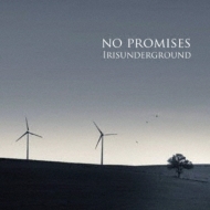 NO PROMISES