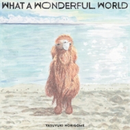 What A Wonderful World (アナログレコード)
