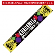 }t[^I / CARAMEL SPLASH TOUR 2018
