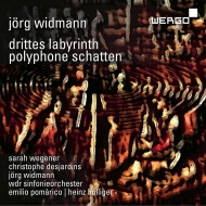 ȥޥ󡢥륯 1973-/Drittes Labyrinth Polyphone Schatten Wegener Widmann Desjardins Pomarico / Holl