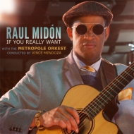 Raul Midon/If You Really Want