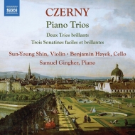 ĥˡ1791-1857/Piano Trios Sun-young Shin(Vn) Hayek(Vc) Gingher(P)