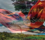 Trick Of The Wind