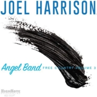 Joel Harrison/Angel Band Free Country Volume 3