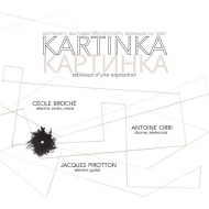 Various/Kartinka