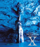 X JAPAN/Visual Shock Vol.3.5 Say Anything X Ballad Collection