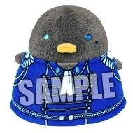 ��� ���� �A�C�h���}�X�^�[ Sidem �����R��