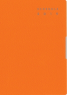 238 �t�F���e8 ���C�g�u���E�� �蒠 2019�N 1���n�܂� B6�� 2019�N�Ŏ蒠