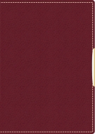 212 ���V�F��2 ���� �蒠 2019�N 1���n�܂� A6���@2019�N�Ŏ蒠