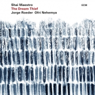 Shai Maestro/Dream Thief