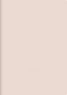 514 Torinco2 �s���N�x�[�W�� �蒠 2019�N 1���n�܂� B6�� 2019�N�Ŏ蒠