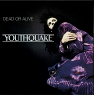 Youthquake (ブラック・ヴァイナル仕様/180グラム重量盤レコード/Music On Vinyl/2ndアルバム)